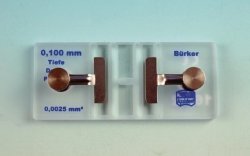 Counting Chambers according to Bürker | Description : Double ruling, with clamps, without CE mark
